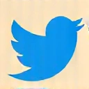 Twitter icon